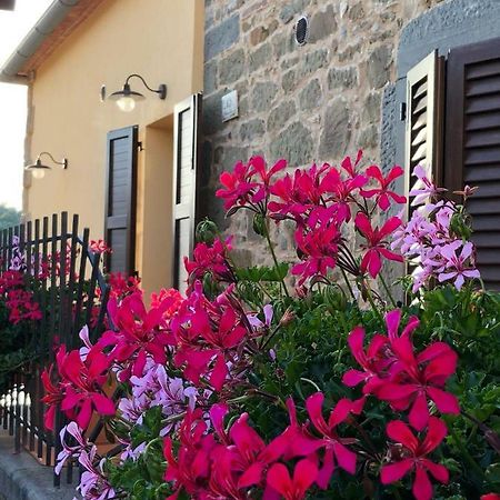 Mamma Laura Apartment Vagliagli Exterior photo