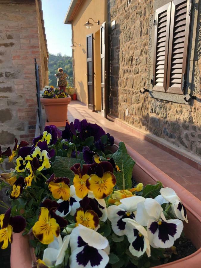 Mamma Laura Apartment Vagliagli Exterior photo